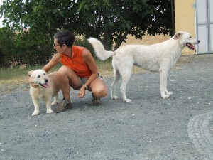 Laura Rossin con due cani