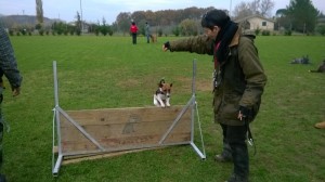 Laura Rossin e l'educazione del cane